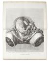 HUNTER, WILLIAM. Anatomia uteri humani gravidi . . . The Anatomy of the Human Gravid Uterus. 1851